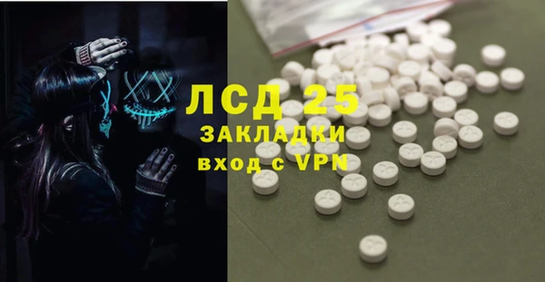 спиды Вяземский