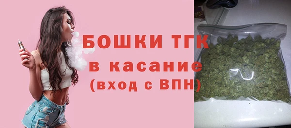 ПСИЛОЦИБИНОВЫЕ ГРИБЫ Чердынь