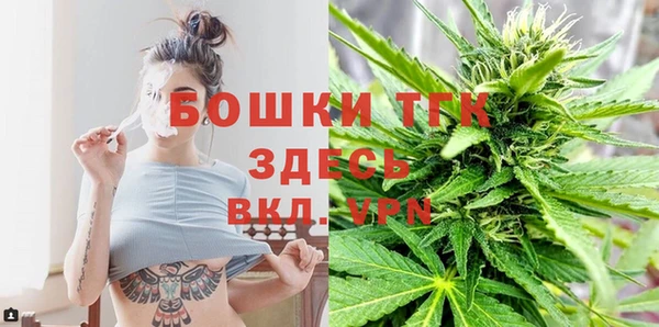шишки Володарск