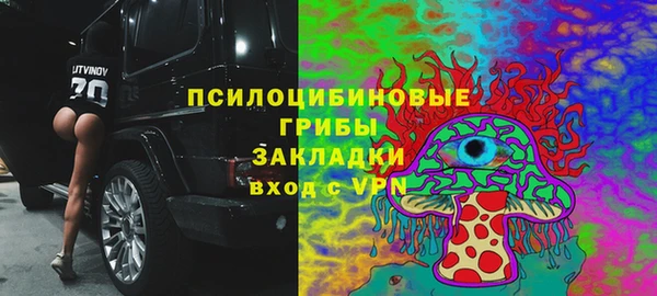 спиды Вяземский